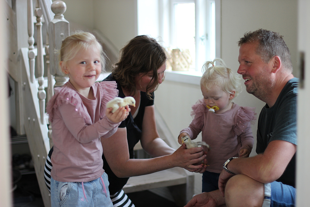 Familien har både hund, kaniner, høns og ænder. Børnene elsker at følge udrugningen af æg, så for tiden har de omkring 50 høns. Men så holder de en gang imellem store slagtedag, og så er der suppe til lang tid.